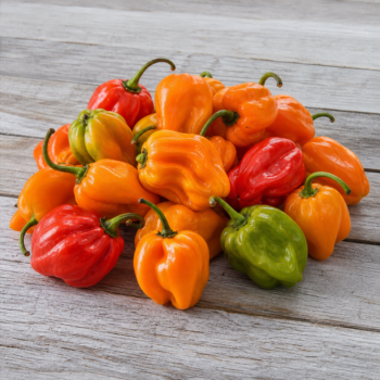 Local Habanero Peppers
