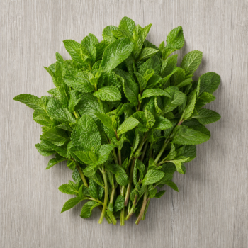 Mint Local Herbs