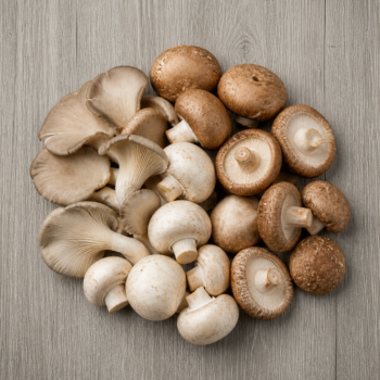 Mushroom Blend