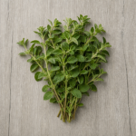 Oregano Herbs