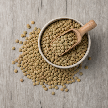 Organic Green Lentils