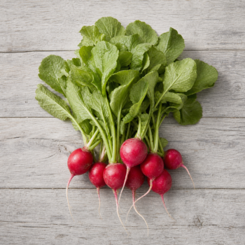 Organic Radishes