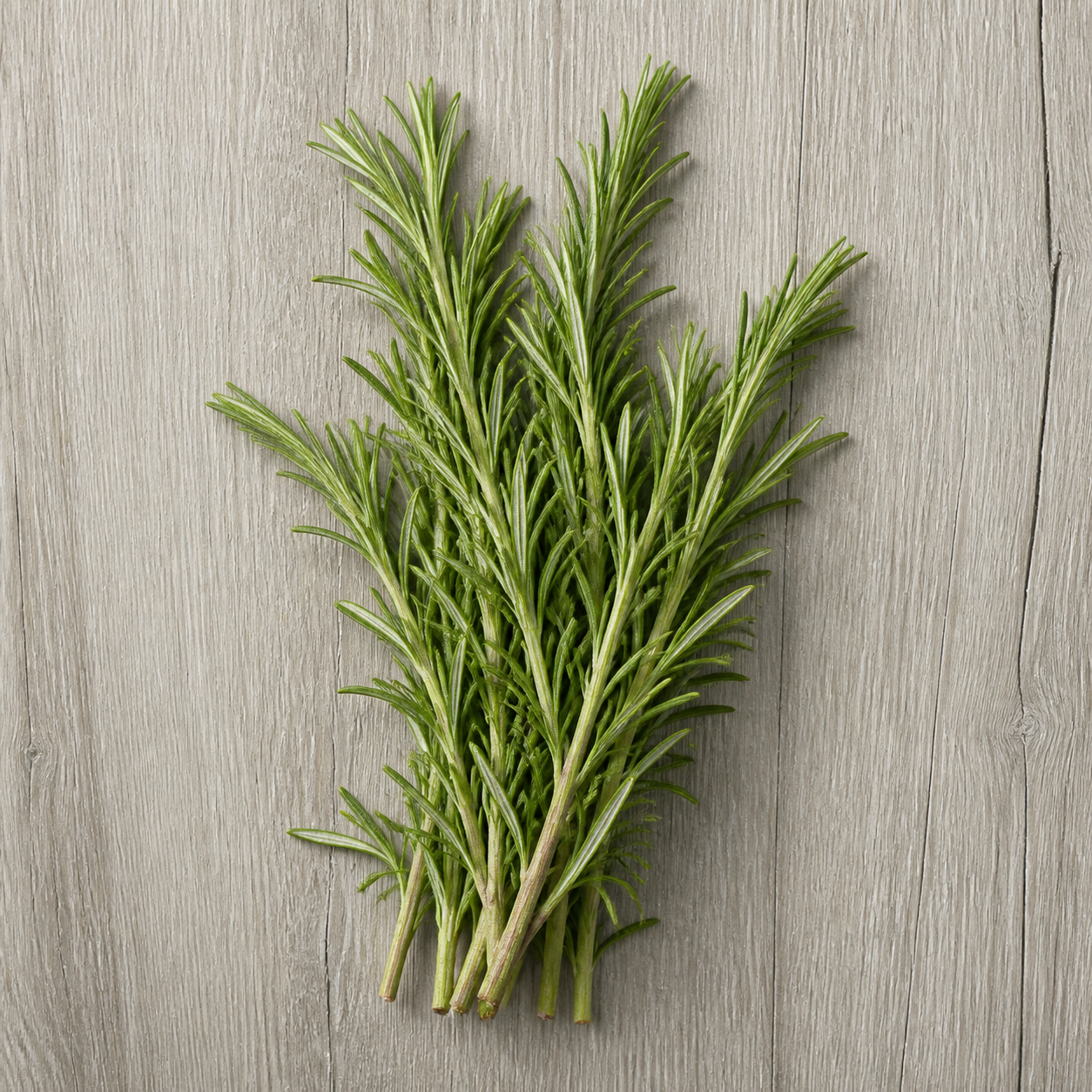 Rosemary 20g Rosemary 20g