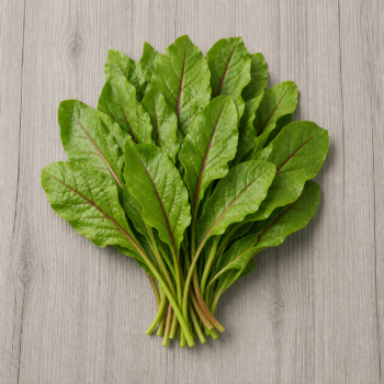 Sorrel