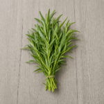 Tarragon Herb