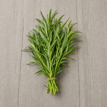 Tarragon Herb