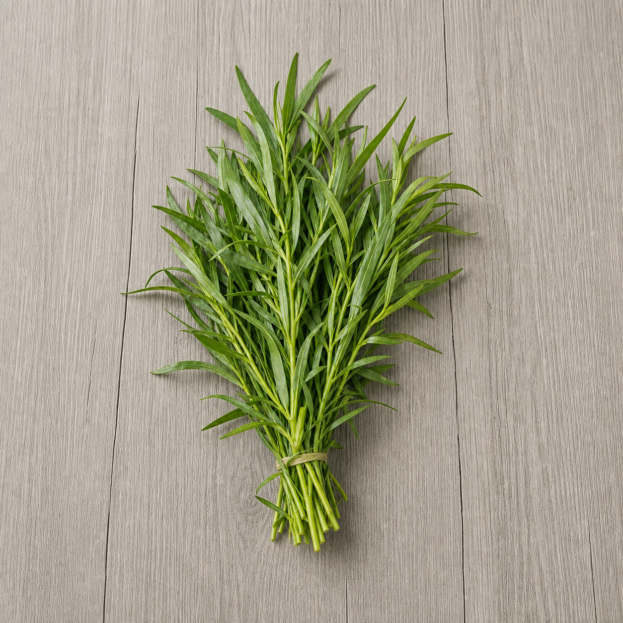 Tarragon Herb Tarragon Herb