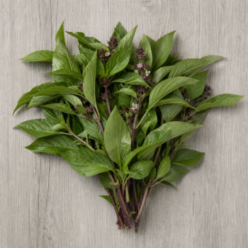 Thai Basil Local