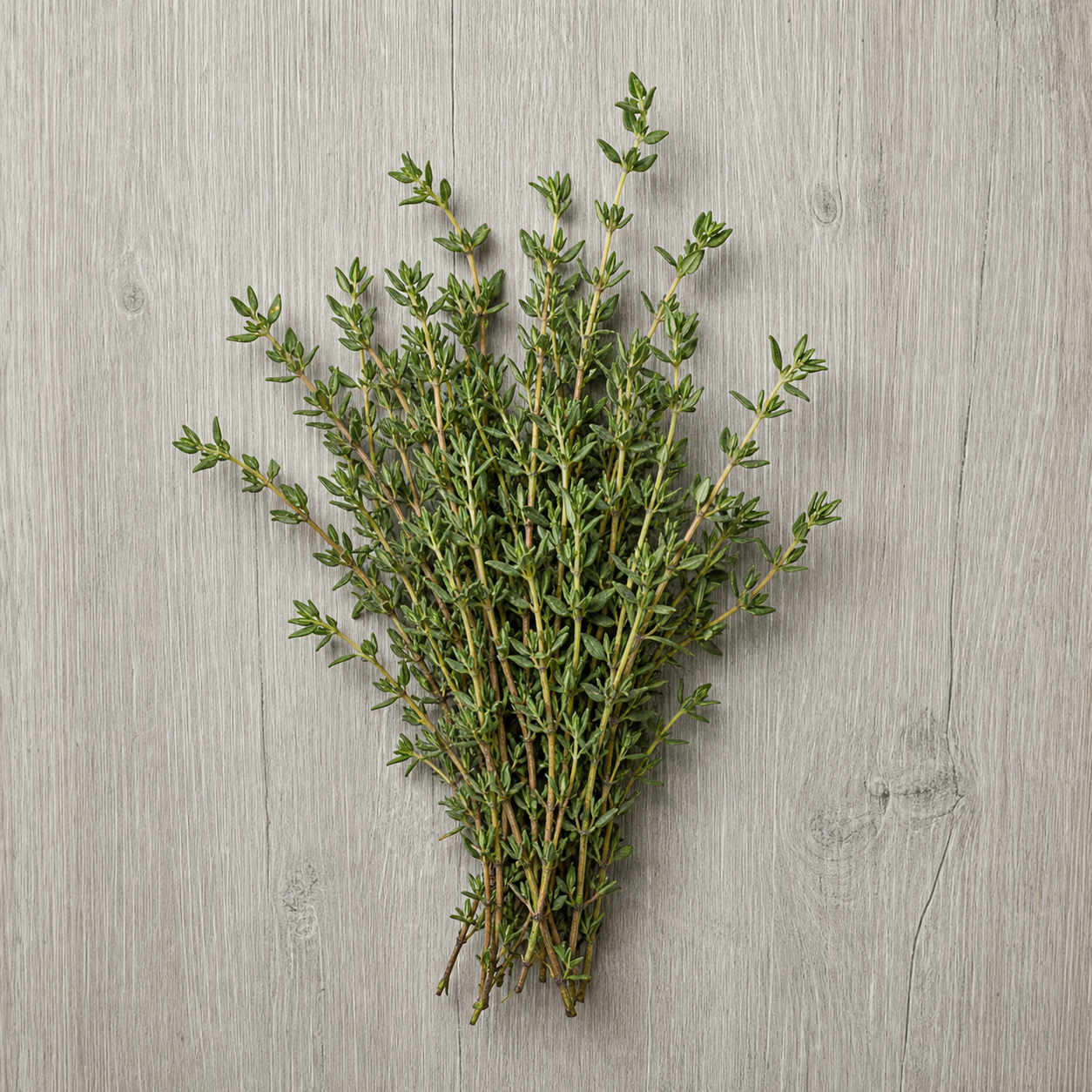 Thyme Thyme