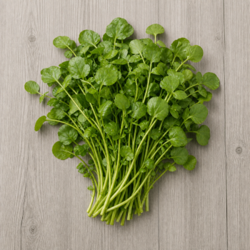 Watercress