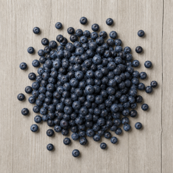 Wild Blueberries
