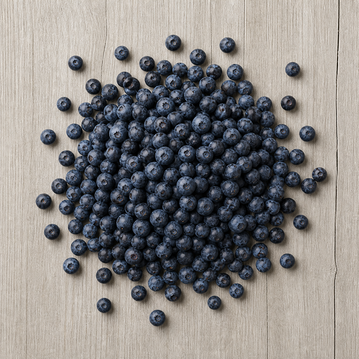 Wild Blueberries Wild Blueberries