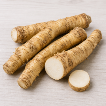Horseradish