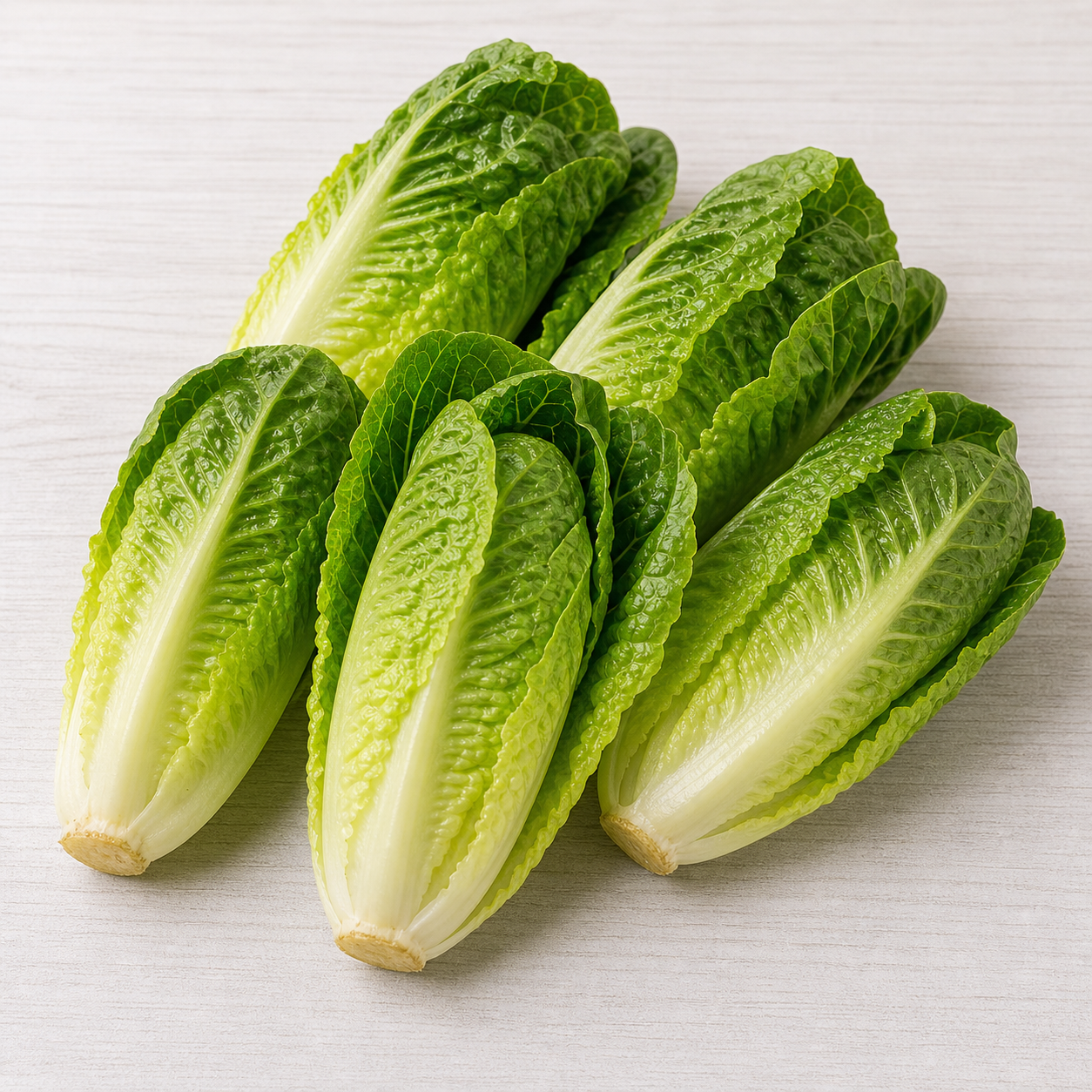 5279-mini-romaine-lettuce