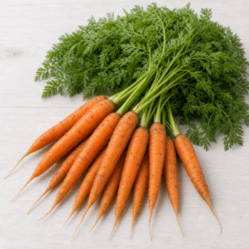 Living Organic Carrots GTF