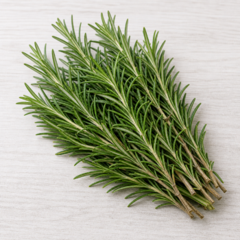 Organic Fresh Herb Rosemary