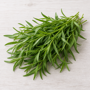 Organic Fresh Herb Taragon