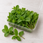 Organic Mint Herb Packaged