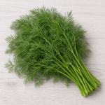 Organic Fresh Herb Dill