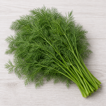 Organic Fresh Herb Dill