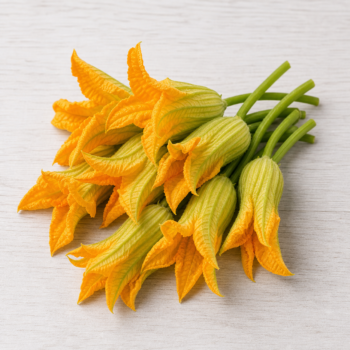 Zucchini Flowers