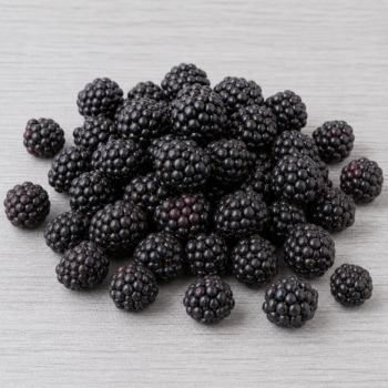 Organic Blackberries 170g