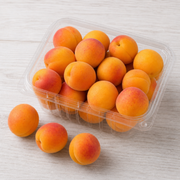 Ontario Apricot Clamshells