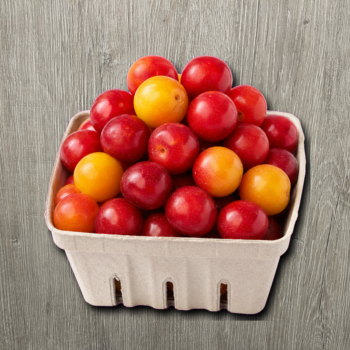 Cherry Plums