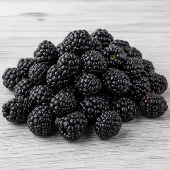 Organic Berries Blackberries