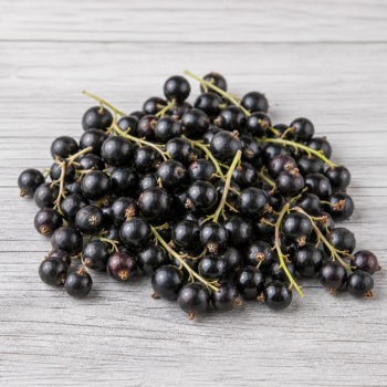 Organic Berries Currant Black
