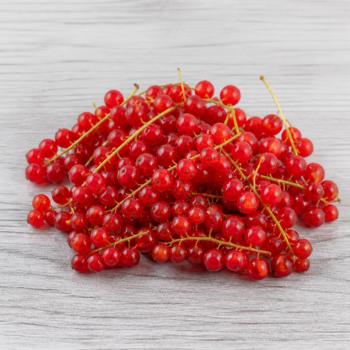 Organic Berries Currant Red