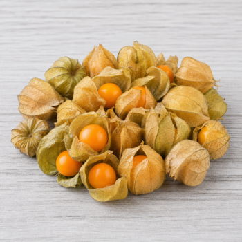 Organic Berries Ground Cherry