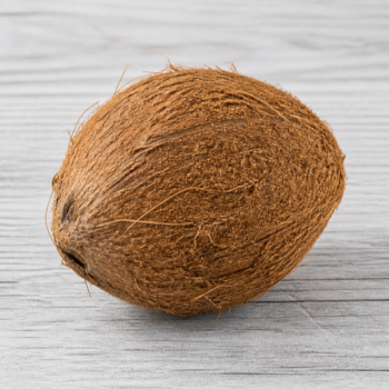 Organic Coconut In Husk