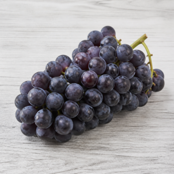 Organic Grape Muscat de Hambou