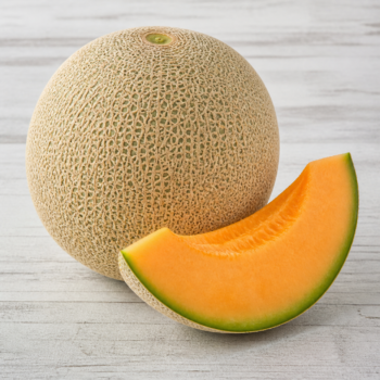 Organic Melon  Canteloupe
