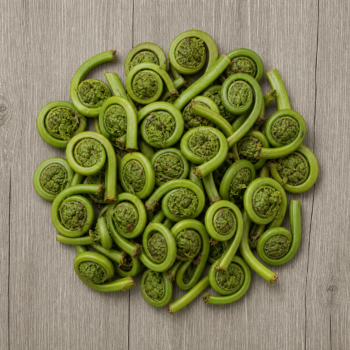 Organic Fiddlehead Ferns
