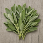 5950-organic-herbs-sage