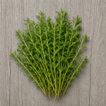 5951-organic-herbs-savory