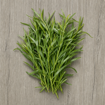 Organic Herbs Tarragon