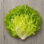 Organic Lettuce Frisee