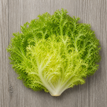 Organic Lettuce Frisee