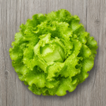 5964-organic-lettuce-green-leaf