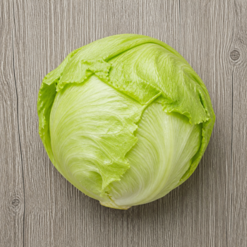 Organic Lettuce Iceberg