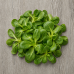 Organic Lettuce Mache