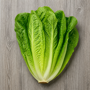 Organic Lettuce Romaine loose