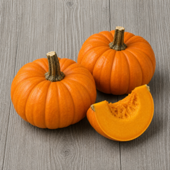 Organic Pumpkin Pie Pumpkin