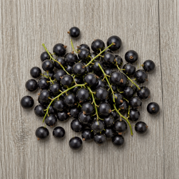 Berries Currant Black
