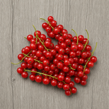 Berries Currant Red