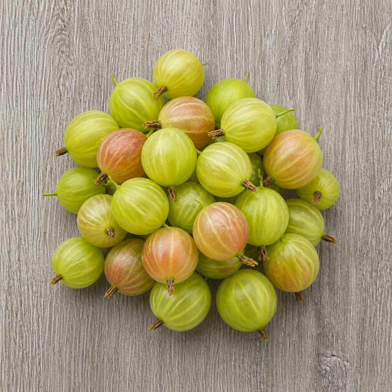 6070-berries-gooseberries