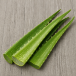 6124-aloe-vera-leaves